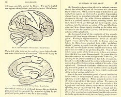 Principles_of_Psyhcology_pages